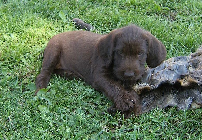 SAMSUNG DIGITAL CAMERA