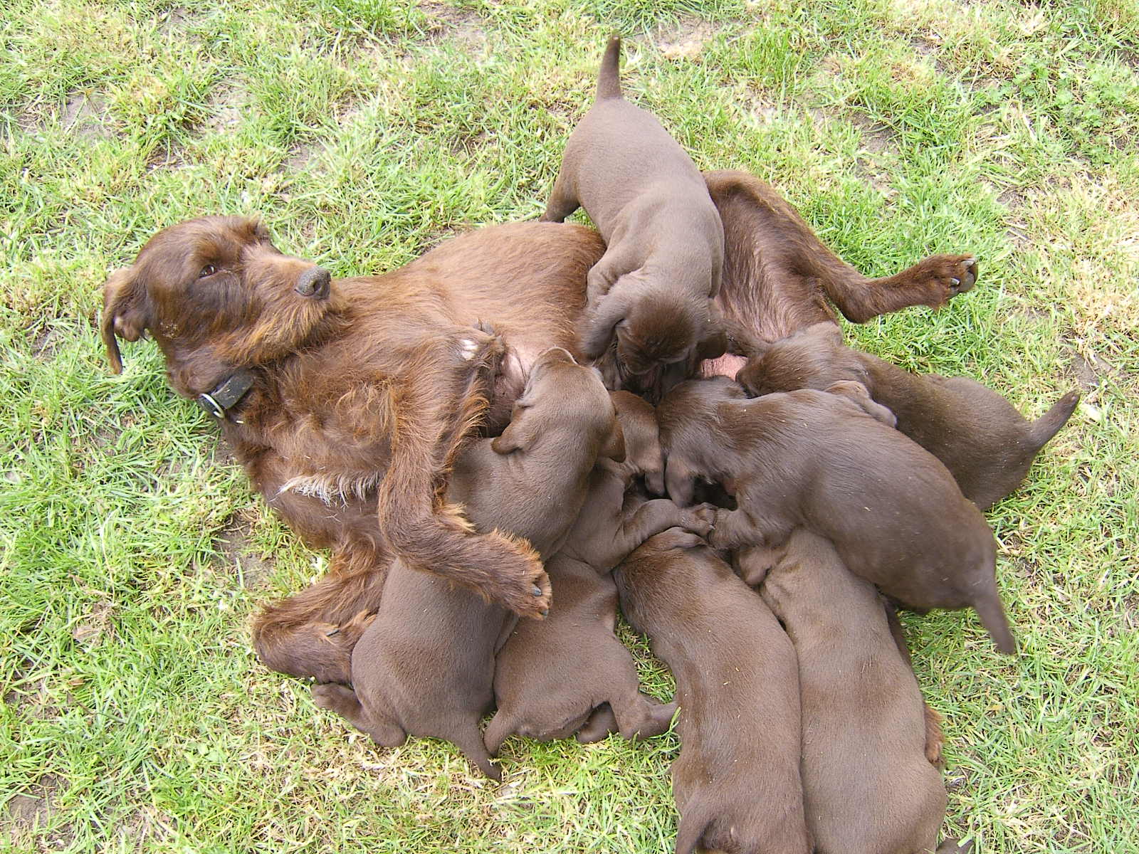 SAMSUNG DIGITAL CAMERA